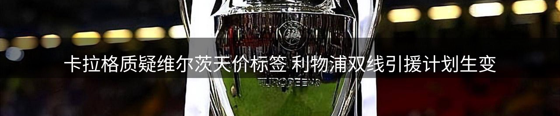 焦点展望
